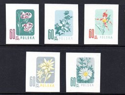 POLAND 1957 ENDANGERED FLOWERS COLOUR PROOFS NHM (NO GUM) Flowers Lily Edelweiss Sea Holly Carlina Acaulis Cypripedium - Ensayos & Reimpresiones