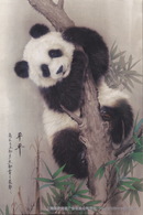 China - Shanghai 2010 EXPO Panda PINGPING, Pedigree No.704, Female, Prepaid Card - 2010 – Shanghai (China)