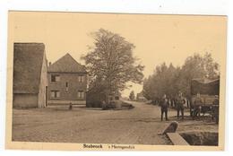 Delcampe - Stabroek  's Hertogendijk - Stabrök