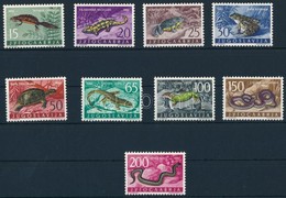 ** 1962 Állatok, Hüllők Sor,
Animal; Reptilie - Sonstige & Ohne Zuordnung