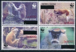 ** 2008 WWF: Majom Felülnyomott 4-es Tömb Mi 5071-5074 - Otros & Sin Clasificación