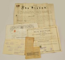 1912-1942 Vegyes Okmány Tétel, Oklevél, Diploma, Származási Igazolás, 4 Db - Ohne Zuordnung