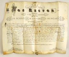 1917 Győr, Jogi Diploma, Pergamen, Függőpecsétje Hiányzik, Okmánybélyeggel, Mihályfi Ákos Szerzetes, Egyházi író és Szás - Unclassified