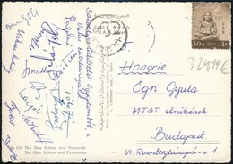 Cca 1960 Vasas Labdarúgóinak Aláírásai (Palotai, Kárpáti, Szentmihályi, Bakos, Kékesi, Ihász,Mathesz,Mészöly ..stb.) Egy - Other & Unclassified