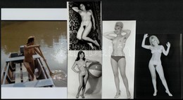Cca 1972 és 1987 Között Készült, Szolidan Erotikus Felvételek Vegyes Válogatása, 5 Db Vintage Negatív (6x6 Cm) + 8 Db Vi - Otros & Sin Clasificación