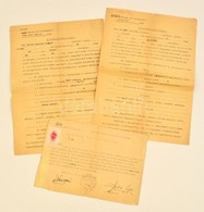 1944 Alsógöd, Kilakoltatási Határozat + Igazolás, Utóbbi Hátoldalán A Zsidók Központi Tanácsa Ellenjegyzésével - Other & Unclassified