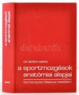 Dr. Miltényi Márta: A Sportmozgások Anatómiai Alapjai. Bp.,1980, Sport. Kiadói Egészvászon-kötés, Jó állapotban. - Unclassified