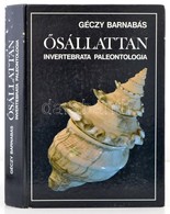 Géczy Barnabás: Ősállattan. Invertebrata Paleontologia. Bp.,1993, Nemzeti Tankönyvkiadó. Kiadói Kartonált Papírkötés, Al - Unclassified