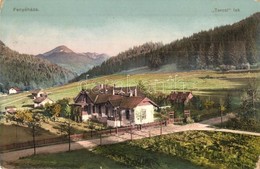 T2 1916 Fenyőháza, Lubochna; Tercsi Lak / Villa - Ohne Zuordnung