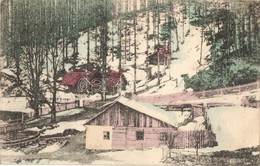 T2/T3 1916 Rahó, Rakhiv; Borkút Télen. Kapható Feig Bernátné Cégénél / Spa In Winter (EK) - Unclassified