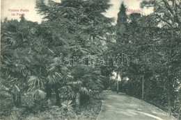 ** T2 Abbazia, Opatija; Palmen Partie Im Parck / Palm Trees In The Park. Divald Károly 678-1909. - Ohne Zuordnung