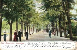 T2 Bad Nauheim, Park Allee - Ohne Zuordnung