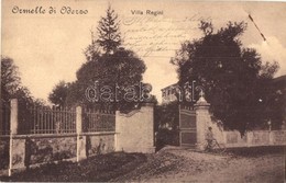 * T4 Ormelle Di Oderzo, Villa Regini, Bicycle. Ditta Bianchi (lyukak / Holes) - Non Classificati