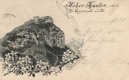 T3 Hoher Kasten, Floral (fa) - Unclassified