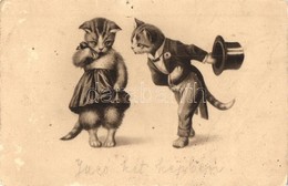 T4 Cat Couple. A.G.B. No. 2905. Litho (pinholes) - Sin Clasificación