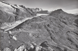 Suisse - Riederfurka Und Riederalp - W.Fiescherhörner -  Gr. Aletschgletscher - Glacier - Riederalp