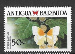 ANTIGUA  & BARBUDA 1988 Caribbean Butterflies    MNH**      Aphrissa Orbis - Barbuda (...-1981)