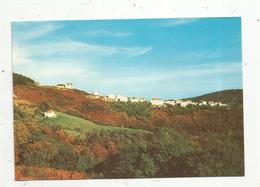 Cp, Espagne , COL D'IBARDIN , Vista Panoramica , Vierge , Ed. Tellechea - Navarra (Pamplona)