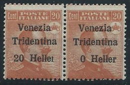 1918 TRENTINO ALTO ADIGE EFFIGIE COPPIA 20 H VARIETà MNH ** - RR13839 - Trento