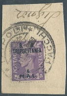 1950 TRIPOLITANIA USATO OCCUPAZIONE INGLESE BA 6 M - RR5232 - Tripolitaine