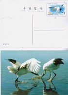 North Korea 2014  WWF Red-crowned Crane Postal Pre-stamped Card - Grues Et Gruiformes