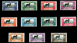 * SAINT PIERRE ET MIQUELON Taxe, N°21/31, Série Chiens De Terre Neuve TB  Qualité: *  Cote: 210 Euros - Used Stamps