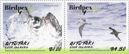 Aitutaki 2018, Birds, 2val - Albatros