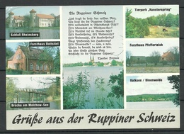Deutschland 1993 Ansichtskarte RUPPINER SCHWEIZ (gesendet Nach Estland , Mit Briefmarke) - Neuruppin