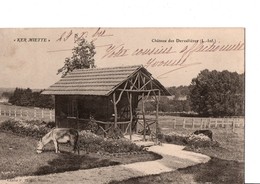 "KER MIETTE"  Château Des Dervallières (L.-Inf.).  CPA En TBE. Cheval. A Circulé En 1905. Voir Scan. - Otros Municipios
