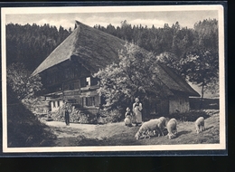 ALTES BAUERNHAUS IM SCHWARZWALD - Metz Campagne