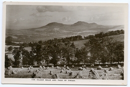 THE EILDON HILLS AND VALE OF TWEED (HAYSTACKS) - Roxburghshire