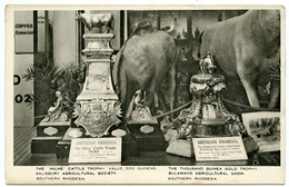 SOUTHERN RHODESIA : SALISBURY AGRICULTURAL SOCIETY / BULAWAYO AGRICULTURAL SHOW - MILNE CATTLE TROPHY (TUCKS) - Zimbabwe
