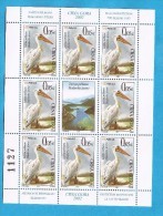 2002 10 WWF  SERBIA SRBIJA CRNA GORA MONTENEGRO  JUGOSLAVIJA JUGOSLAWIEN GESCHUETZTE  PELIKAN  MNH - Pélicans