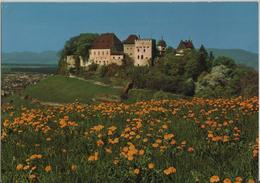 Schloss Lenzburg - Photo: Rud. Suter - Lenzburg