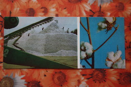 Kazakhstan. CHIMKENT. Cotton Harvest 1983 - Kazajstán