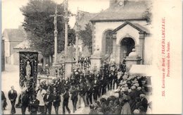 29 - PLOUDALMEZEAU --  Procession Des Saints - Ploudalmézeau