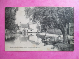 CPA 45 CHATILLON COLIGNY LE MOULIN DE LA FOSSE - Chatillon Coligny