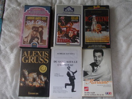 Lot De 6 K7 VHS Sur Le Cirque Collection Alain Nénert - Altri & Non Classificati