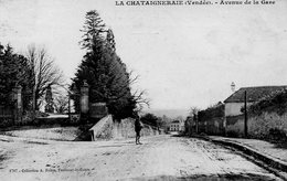 CPA - La CHATAIGNERAIE (85) - Aspect De La Descente De L'avenue De La Gare Au Début Du Siècle - La Chataigneraie