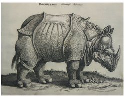 (355)  (with Stamp At Back Of Card) UK - Durham Cathedral - Rhinoceros - Rhinocéros