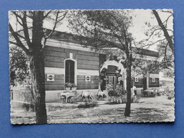 Cartolina Selva Di Fasano - Pensione Il Fagiano - 1960 Ca. - Brindisi