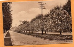 Rochester NY 1905 Postcard - Rochester