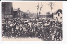 MONCOUTANT - LE CHAMP DE FOIRE - 79 - Moncoutant