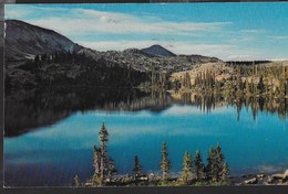 U.S.A.- WYOMING - MIRROR LAKE - MEDICINE BOW NATIONAL FOREST - FORMATO PICCOLO - VIAGGIATA 1972 FRANCOBOLLO ASPORTATO - Autres & Non Classés
