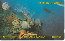 TARJETA DE CAYMAN ISLANDS DE VARIOS PECES  (FISH-PEZ-POISSON) 5CCIA - Iles Cayman