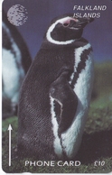 TARJETA DE LAS FALKLAND DE UN PINGUINO 6CWFA  (PENGUIN) - Falklandeilanden