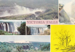 Postcard Zimbabwe Victoria Falls Multiview My Ref  B23039 - Simbabwe