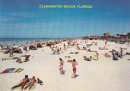 Florida Clearwater Beach Sun Bathers - Clearwater