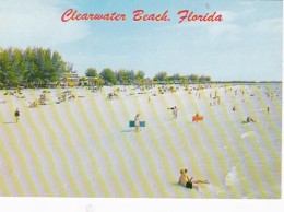 Florida Clearwater Beach Sun Bathers - Clearwater
