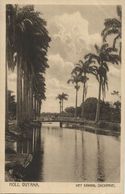 Suriname, Nickerie, The Canal (1910s) Postcard - Surinam
